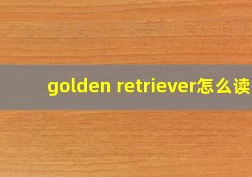 golden retriever怎么读